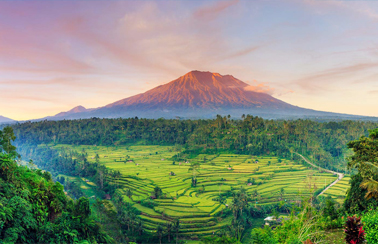 bali tour
