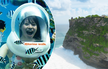 Snorkeling Tour